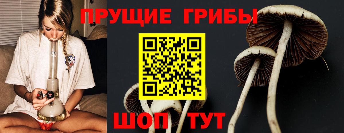 Надым  Псилоцибиновые грибы прущие грибы  Вход с VPN 